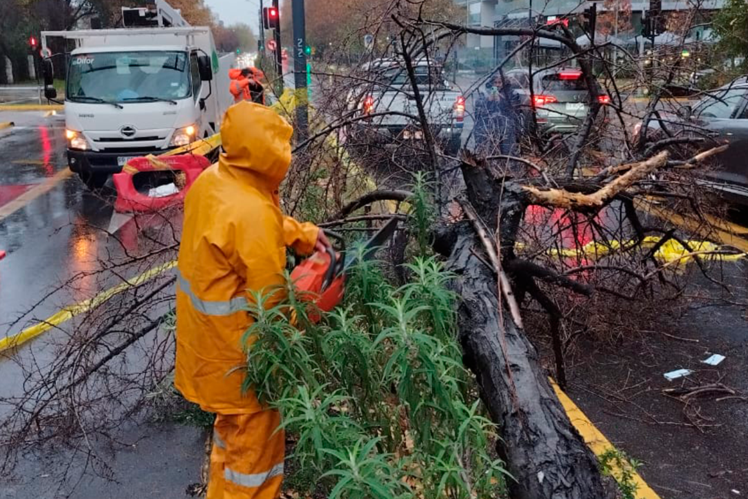 Respuesta ante Emergencias
