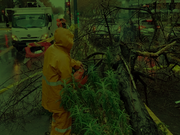 Emergencias Respuesta en terreno para municipios y edificios.